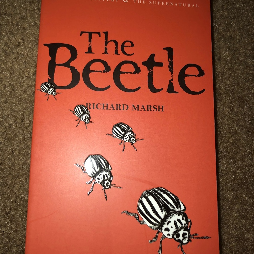 The beetle